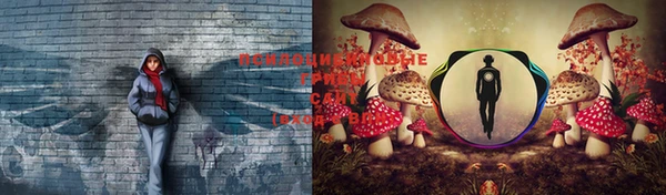 кристаллы Куйбышев