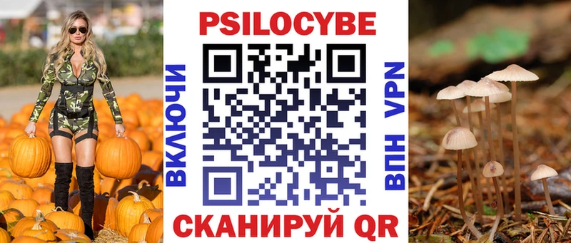 Купить  Алагир  Псилоцибиновые грибы Psilocybine cubensis 